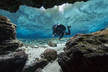 Florida springs are the perfect diving experience
