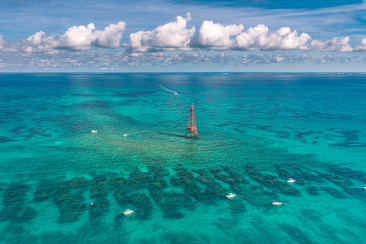 Scuba diving and snorkeling in the florida keys