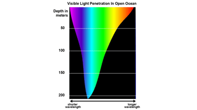The affects of color perception while diving